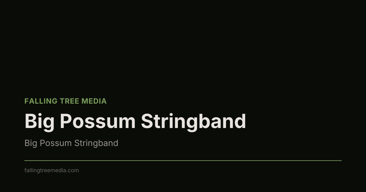 Big Possum Stringband